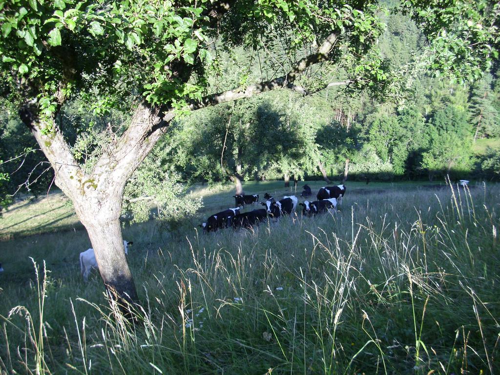 Farm Stay Zagar Мозирье Экстерьер фото